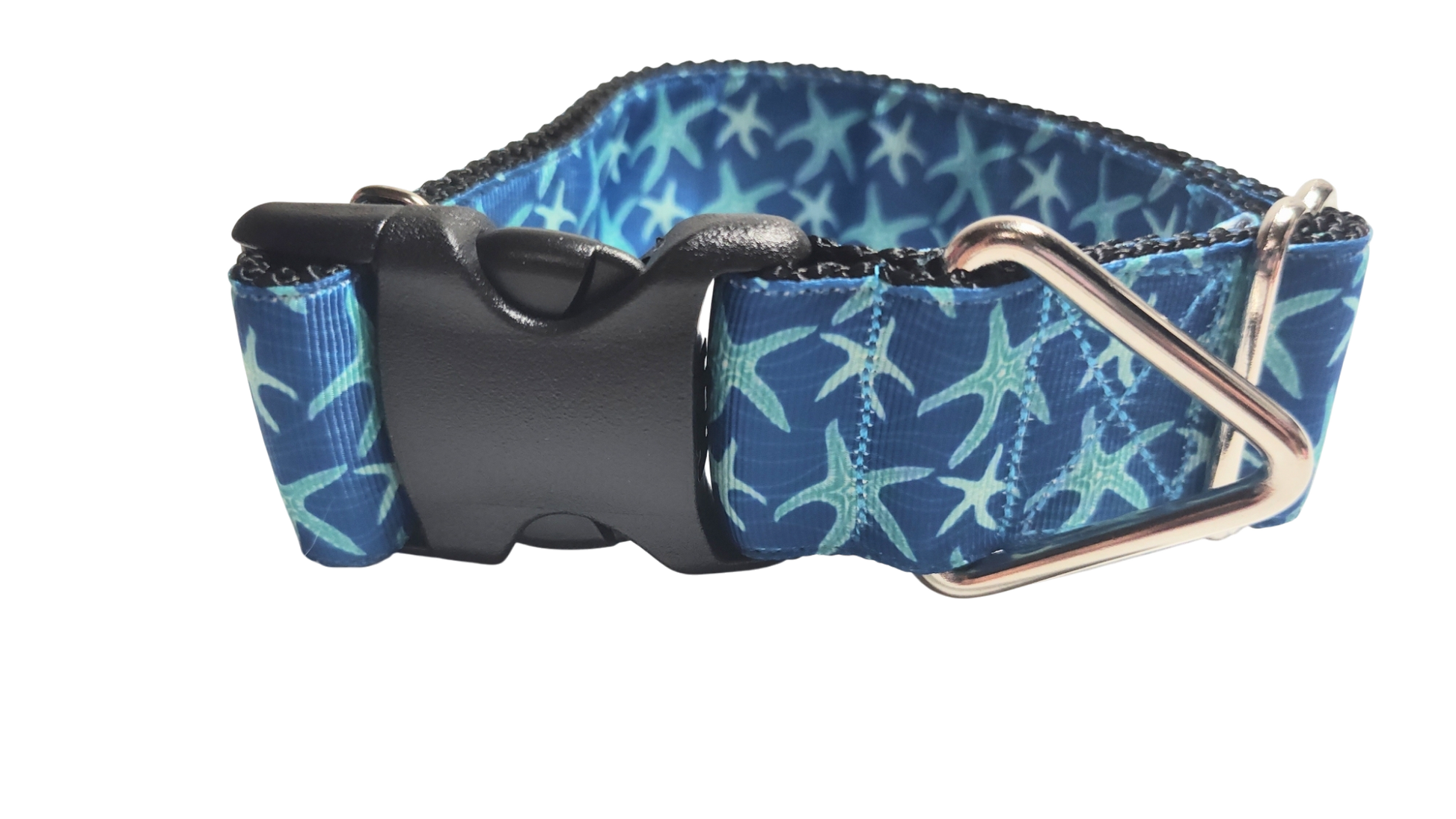 1.5" Wide Blue Starfish Nylon Dog Collar | Purrfect Pet Kingdom