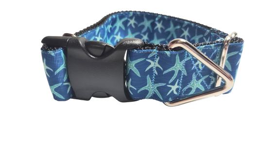 1.5" Wide Blue Starfish Nylon Dog Collar | Purrfect Pet Kingdom