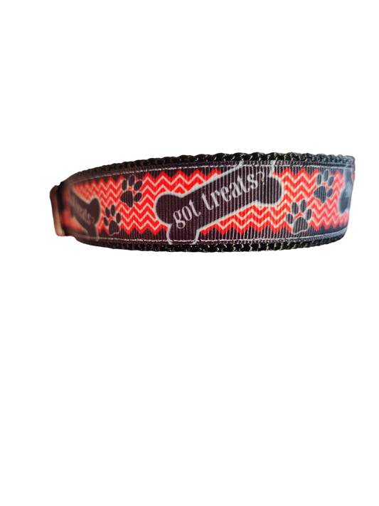 Got Treats? Nylon Dog Collar | Purrfect Pet Kingdom