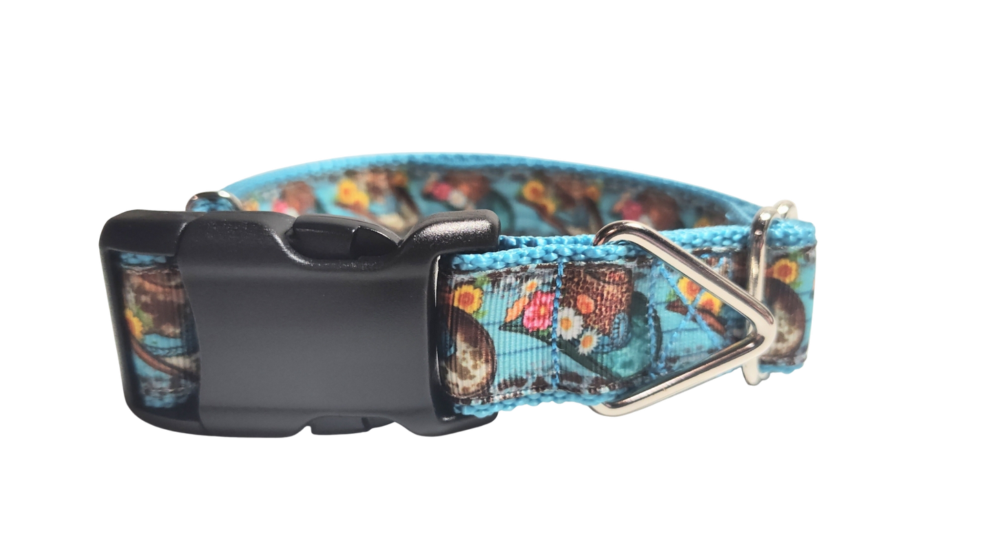 Cowboy Hats and Flowers Nylon Dog Collar | Purrfect Pet Kingdom