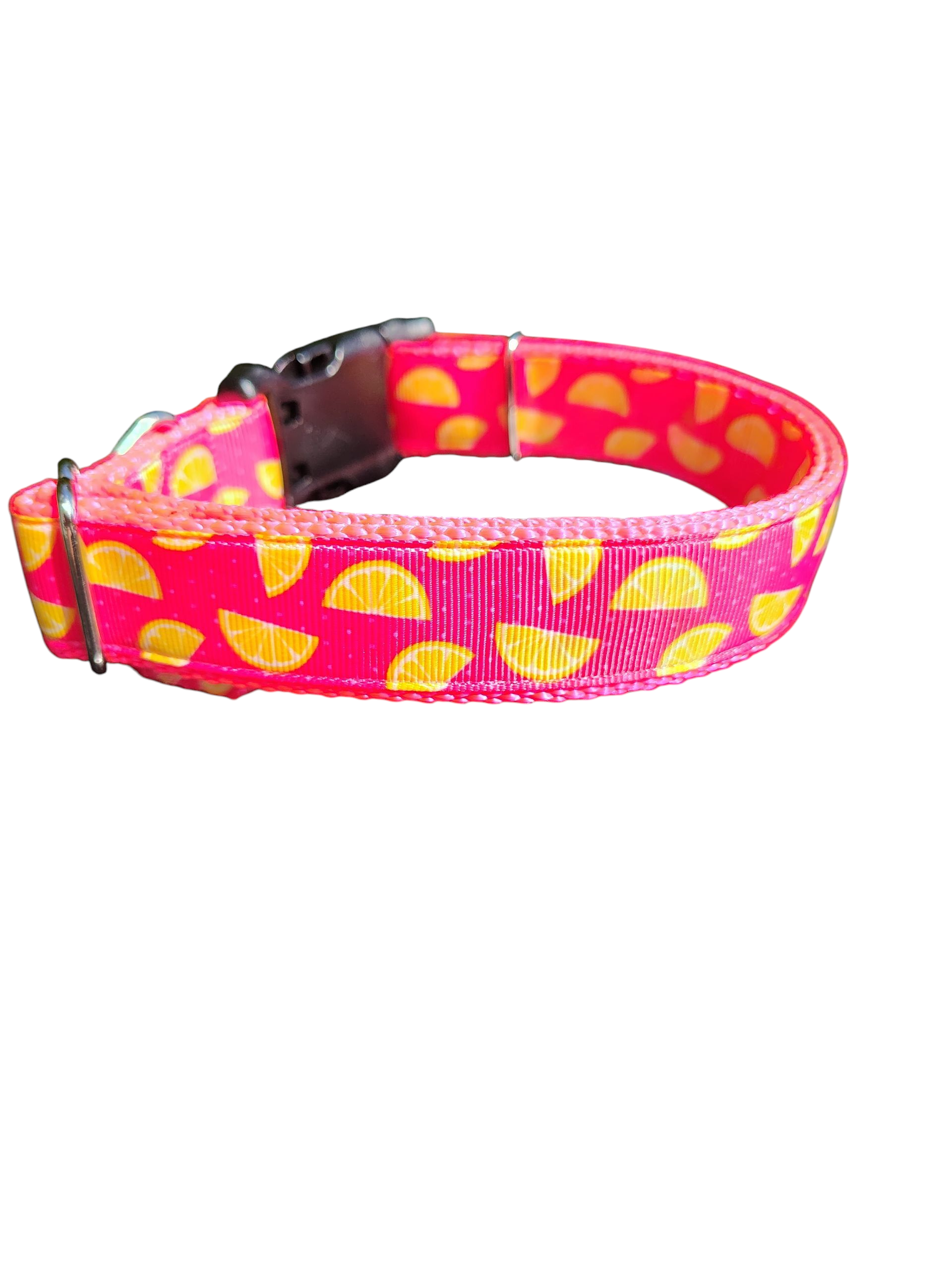 Pink Lemonade Nylon Dog Collar | Purrfect Pet Kingdom
