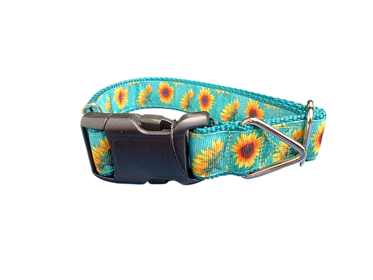 Sunflower Heads Nylon Dog Collar | Purrfect Pet Kingdom