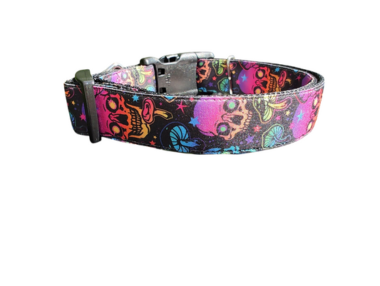 Mushrooms and Skulls Nylon Dog Collar | Purrfect Pet Kingdom