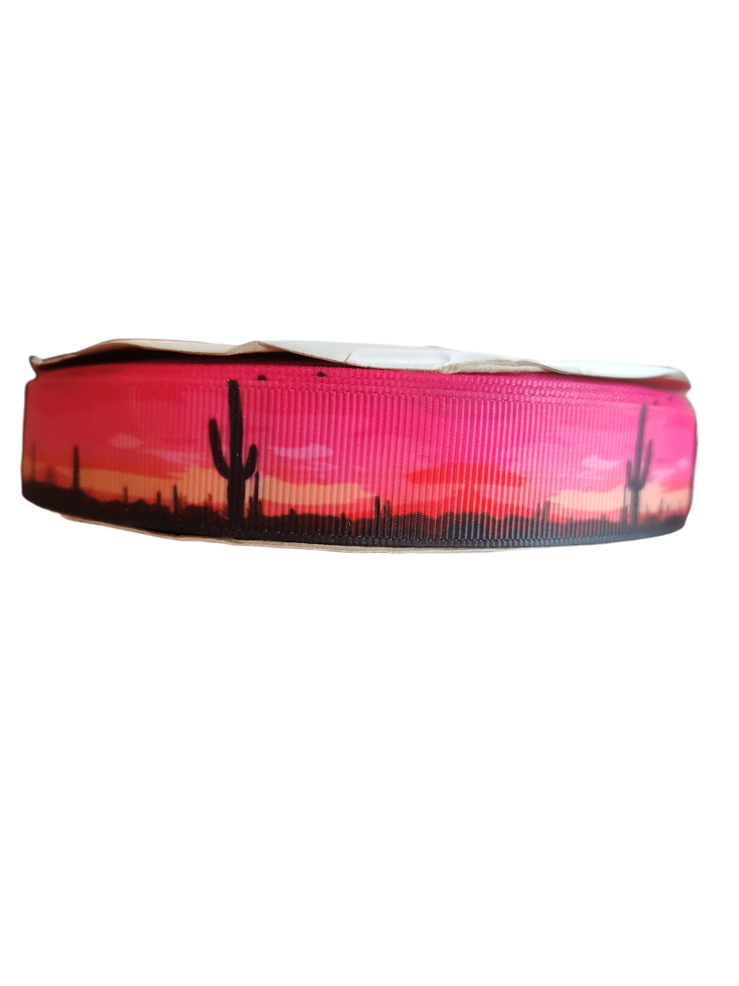 Sunset Cactus Nylon Dog Collar | Purrfect Pet Kingdom