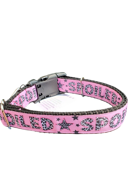 Spoiled Nylon Dog Collar | Purrfect Pet Kingdom