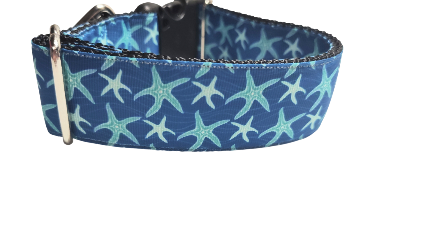 1.5" Wide Blue Starfish Nylon Dog Collar | Purrfect Pet Kingdom