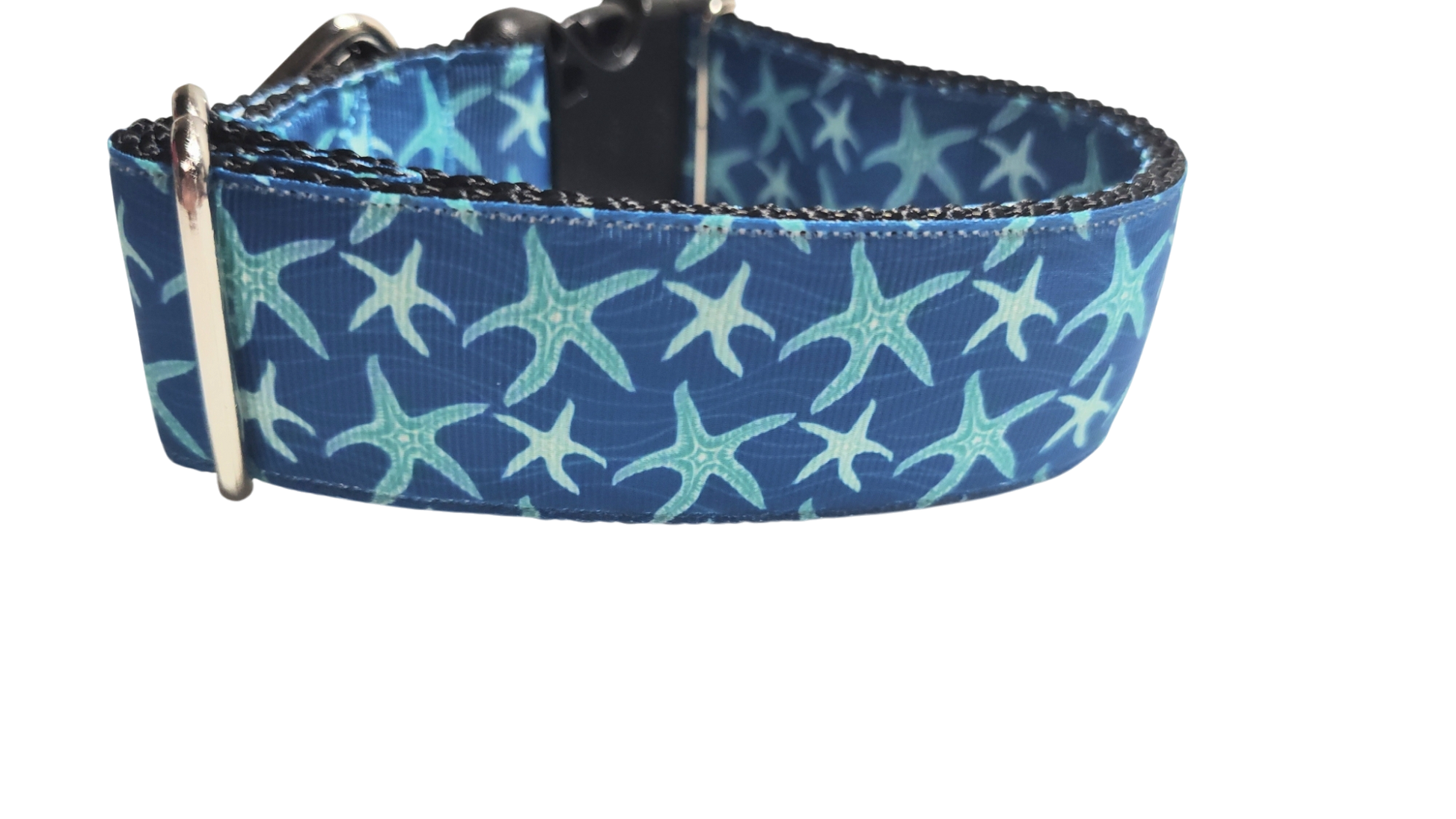1.5" Wide Blue Starfish Nylon Dog Collar | Purrfect Pet Kingdom