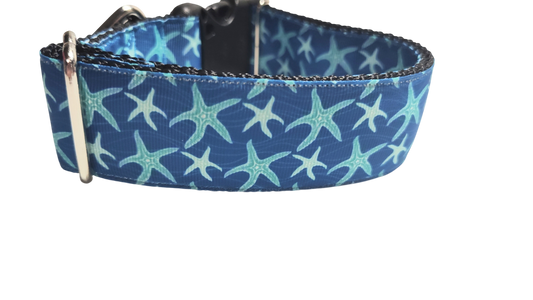 1.5" Wide Blue Starfish Nylon Dog Collar | Purrfect Pet Kingdom