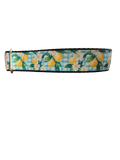 Gingham Lemons Nylon Dog Collar