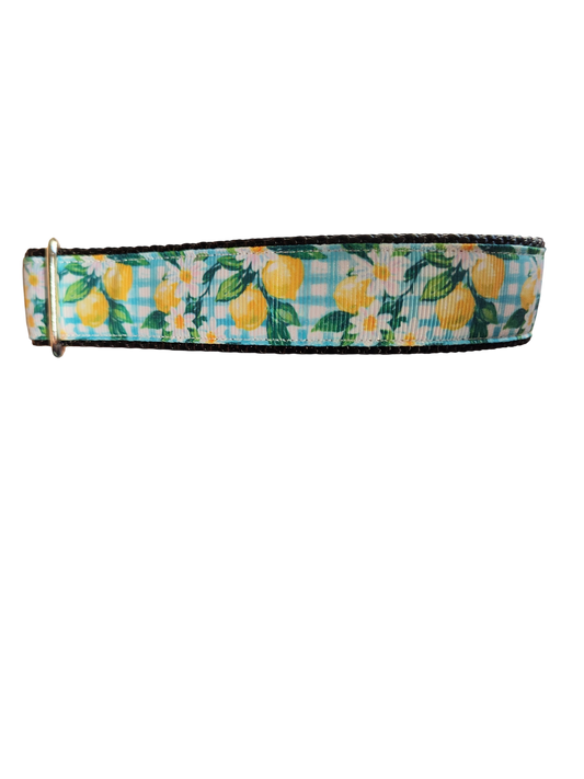 Gingham Lemons Nylon Dog Collar | Purrfect Pet Kingdom