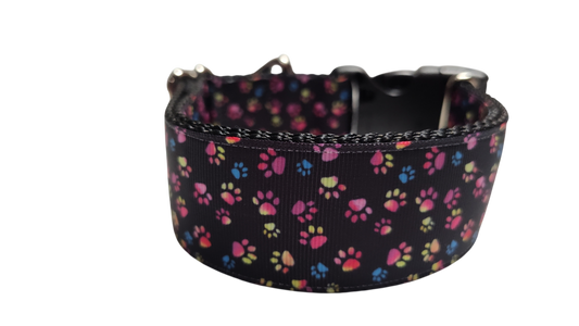 1.5" Wide Colorful Pawprints Nylon Dog Collar | Purrfect Pet Kingdom