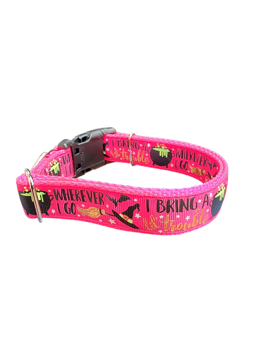 I Bring Trouble Nylon Dog Collar | Purrfect Pet Kingdom