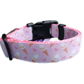 Ice Cream Pink Nylon Dog Collar MD, LG, XL, Leash