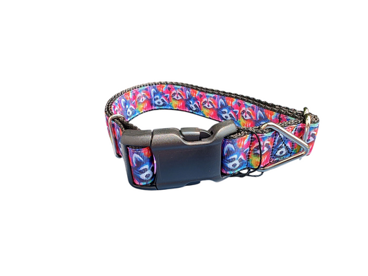 Trash Panda Raccoons Nylon Dog Collar | Purrfect Pet Kingdom