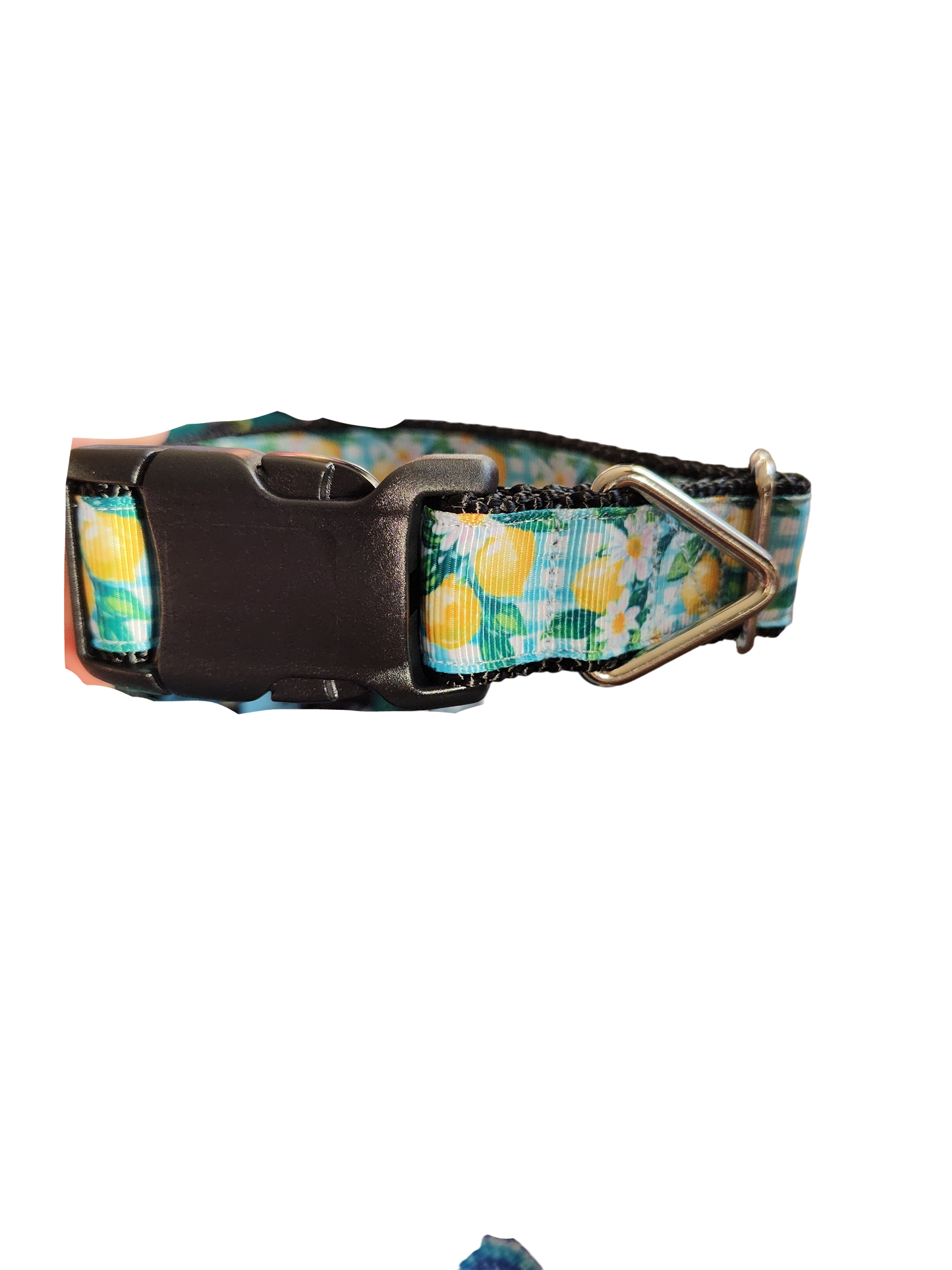 Gingham Lemons Nylon Dog Collar | Purrfect Pet Kingdom