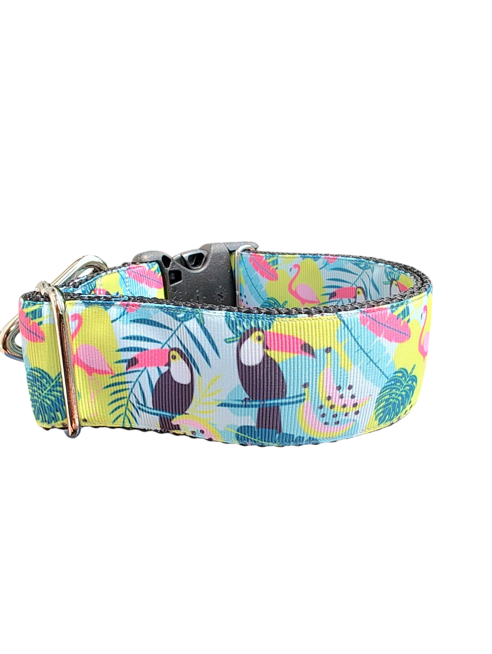 1.5" Wide Tropical Toucans Nylon Dog Collar | Purrfect Pet Kingdom