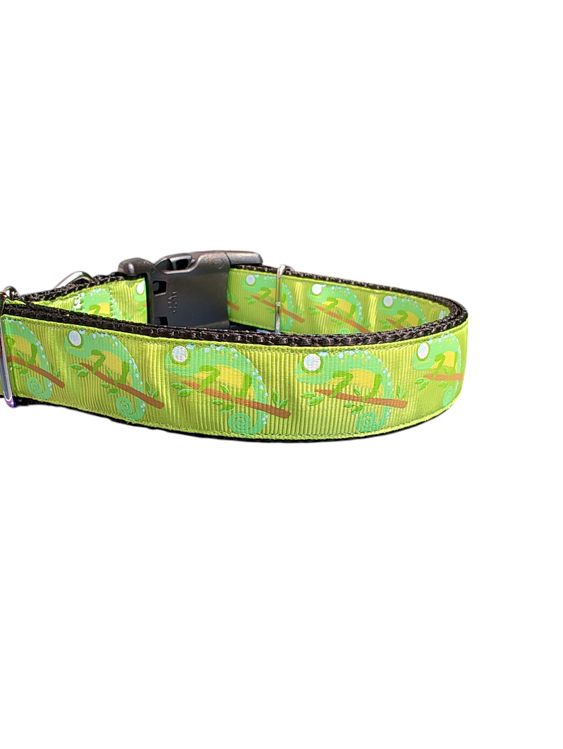 Chameleon Nylon Dog Collar | Purrfect Pet Kingdom
