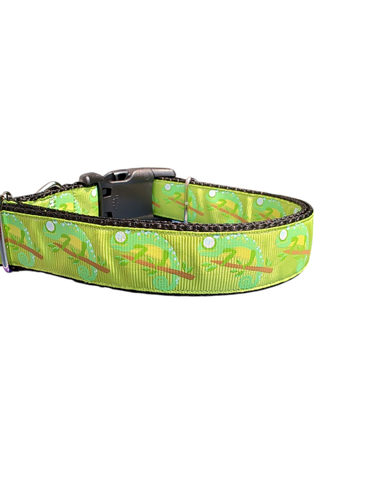 Chameleon Nylon Dog Collar | Purrfect Pet Kingdom