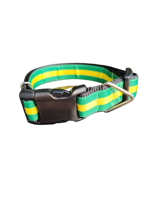 Green And Gold Nylon Dog Collar | Purrfect Pet Kingdom