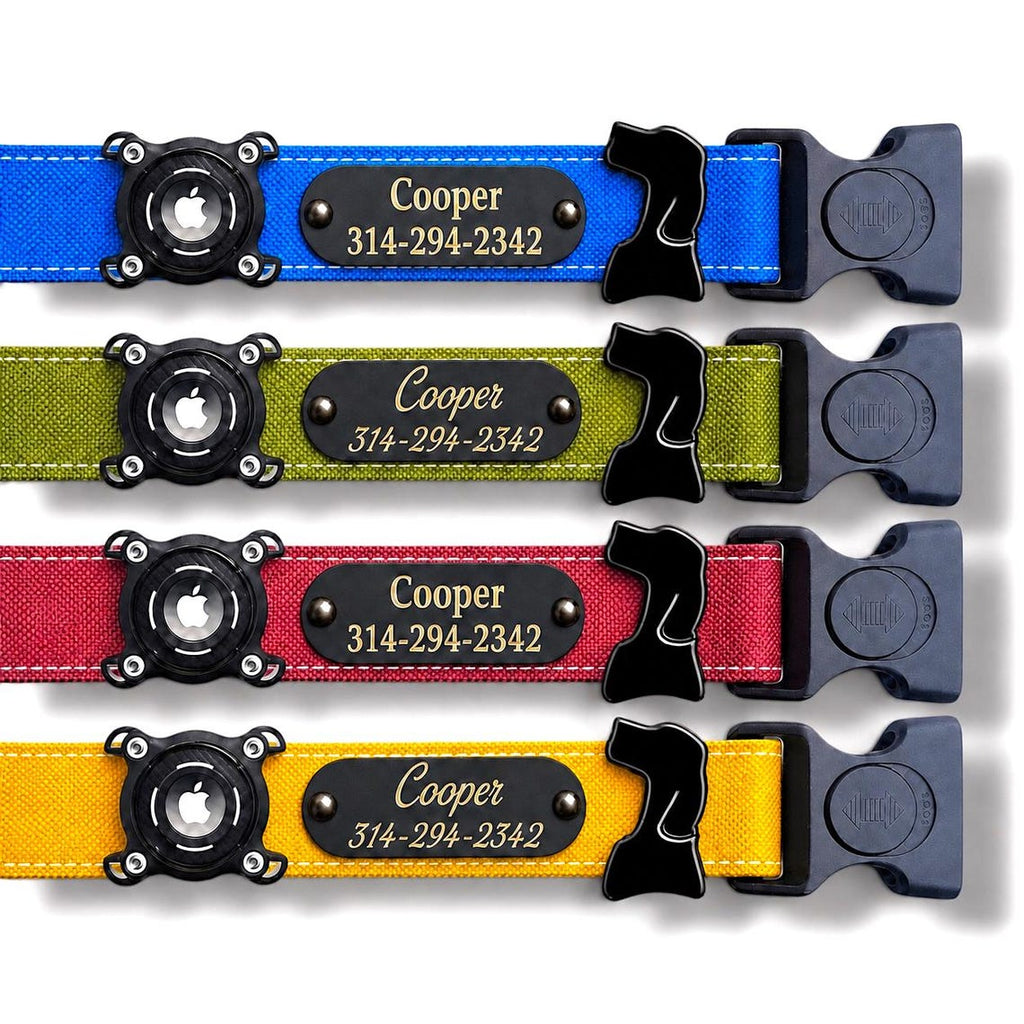 Rugged Waterproof Dog Collar with AirTag Holder Case