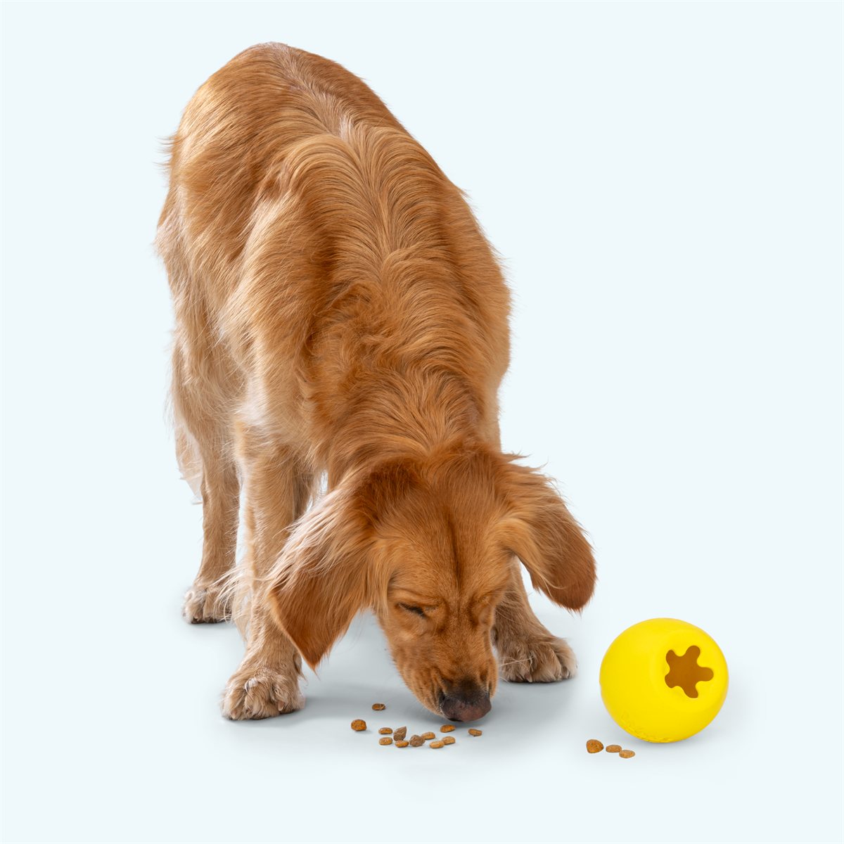 Dog Puzzle Toy Rumbl Treat Dispenser Zogoflex Echo Toy