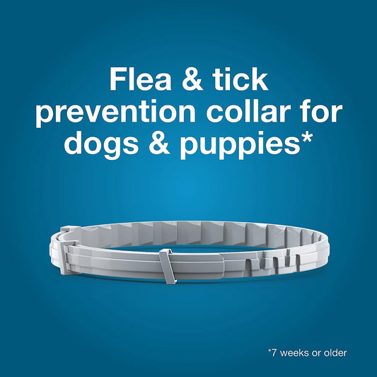 Dog Collar Seresto 8-Month Flea and Tick Continuous Defense