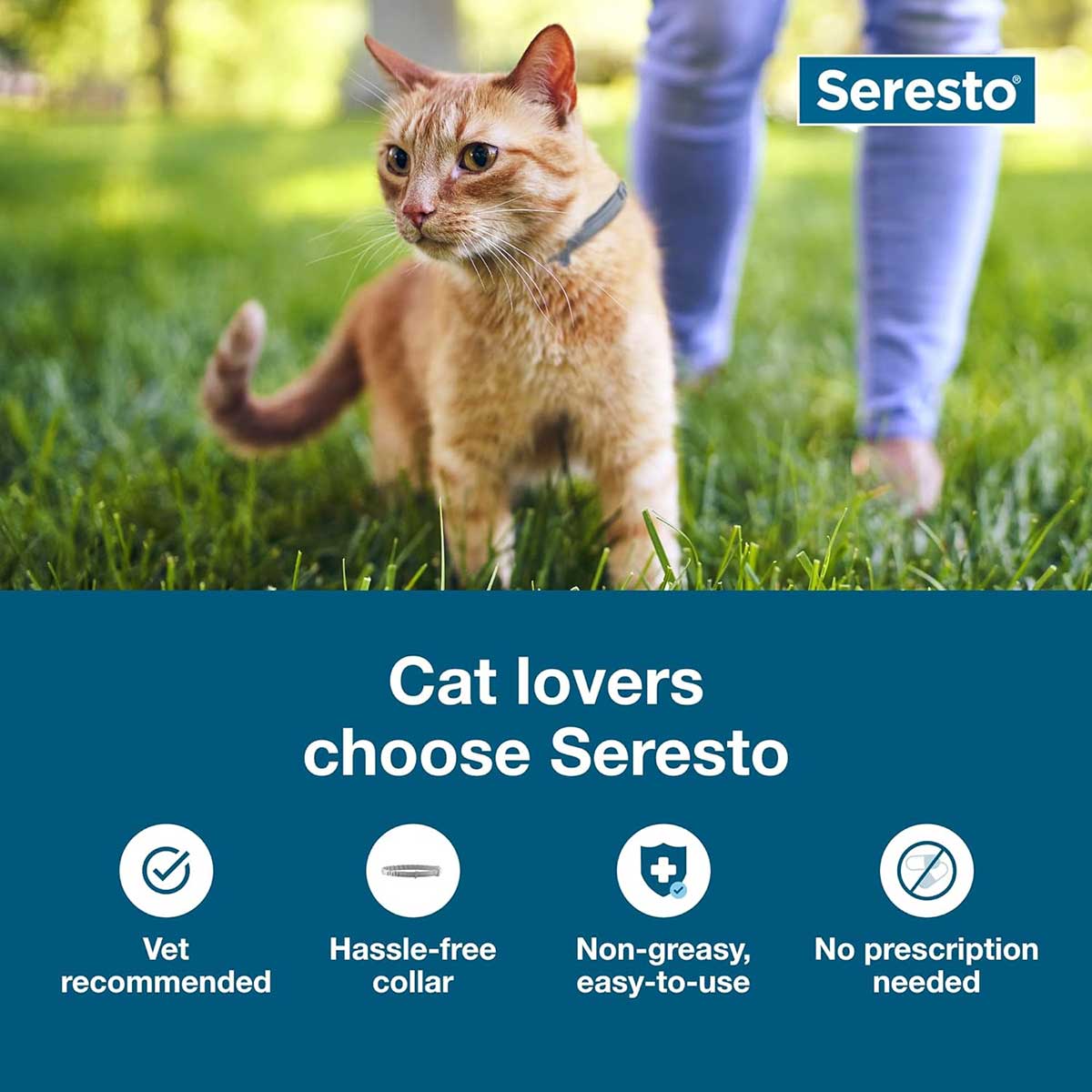 Luxury Pet Essentials - Purrfect Pet Kingdom™