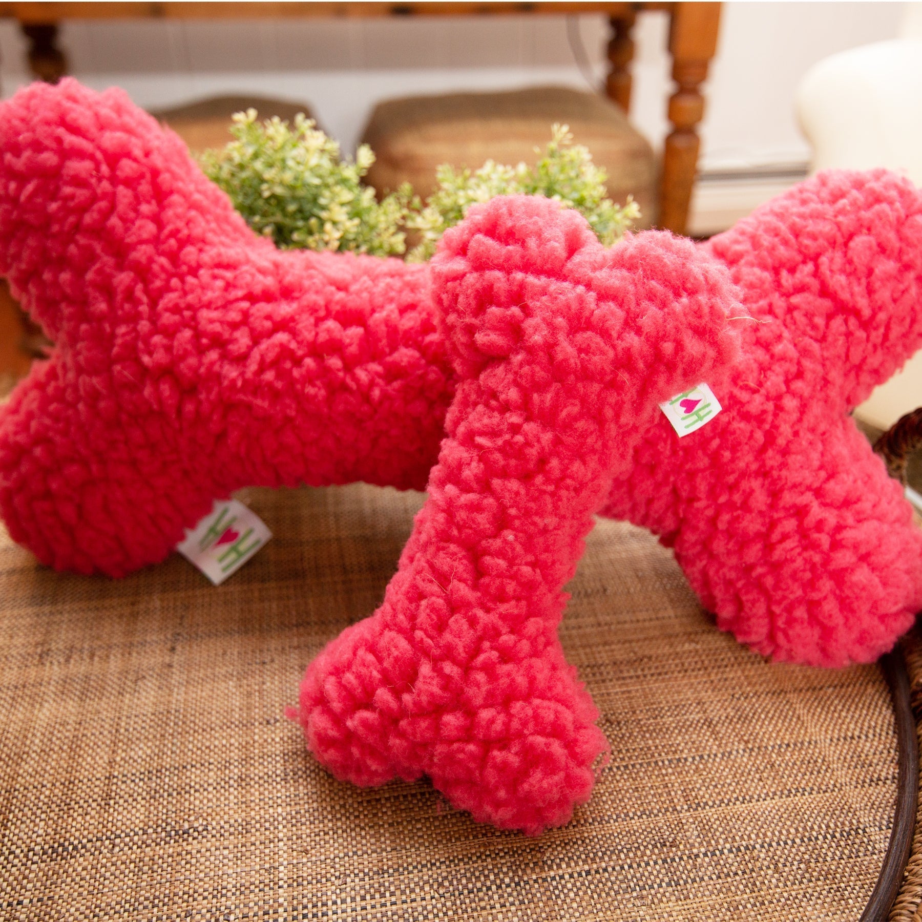 Pet Supply Product | The Finest Market
