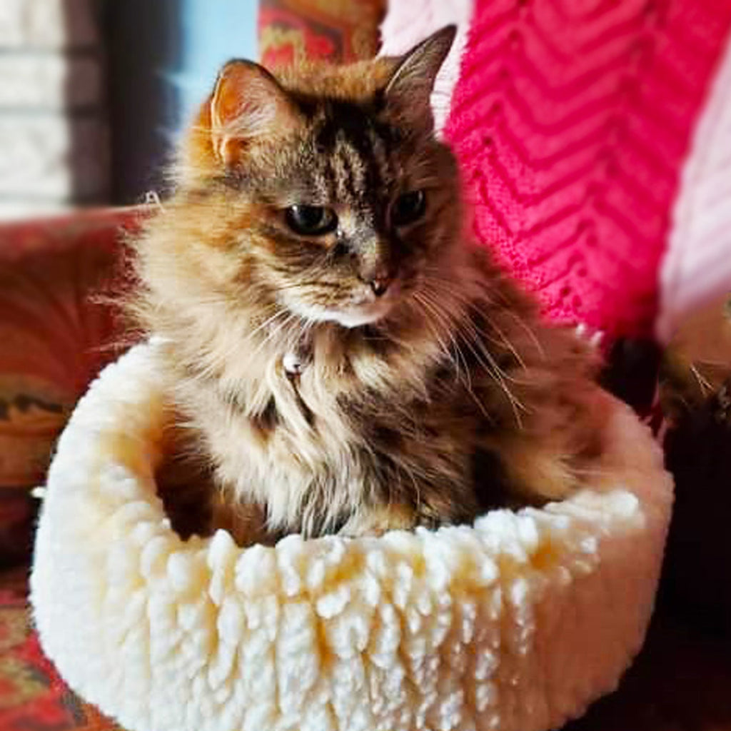 Pet Supply Product | The Finest Market