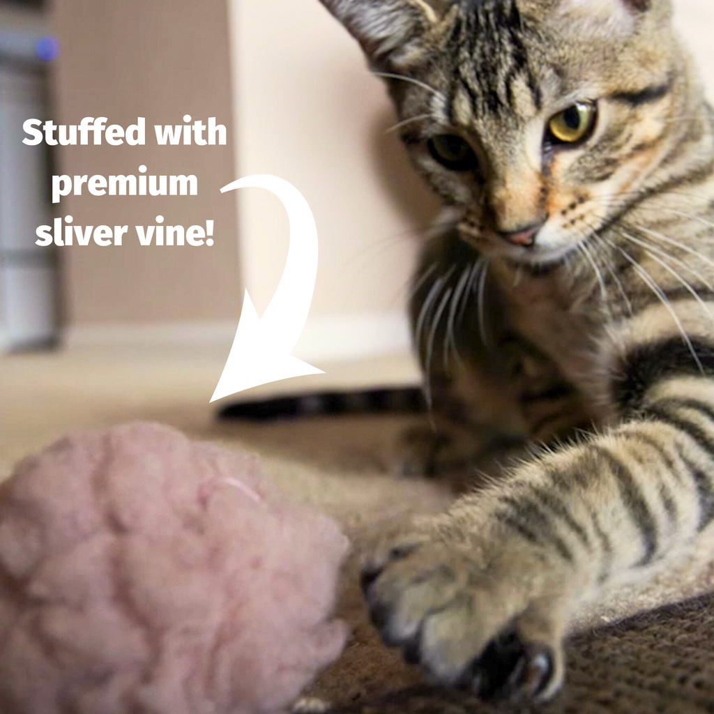 Pet Supply Product | The Finest Market
