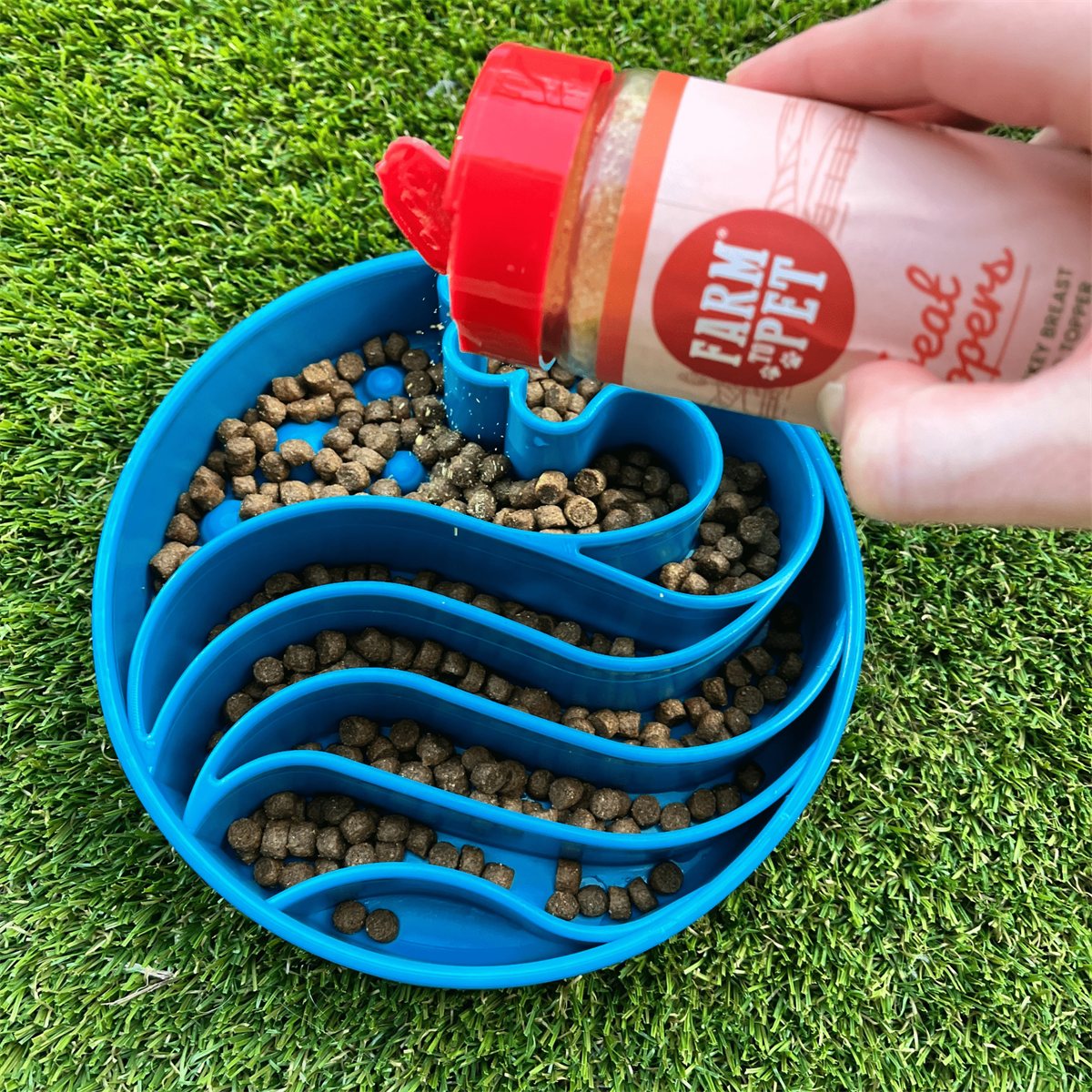 Dog Bowls Slow Feeder Anti-Gulping Non-Slip Pet Feeding Dish