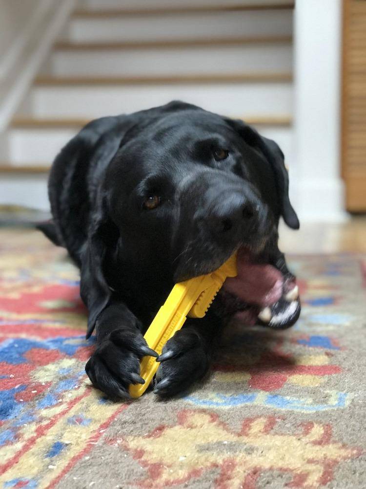 Dog Chew Toy Pipe Wrench Shape Nylon Aggressive Chewers USA