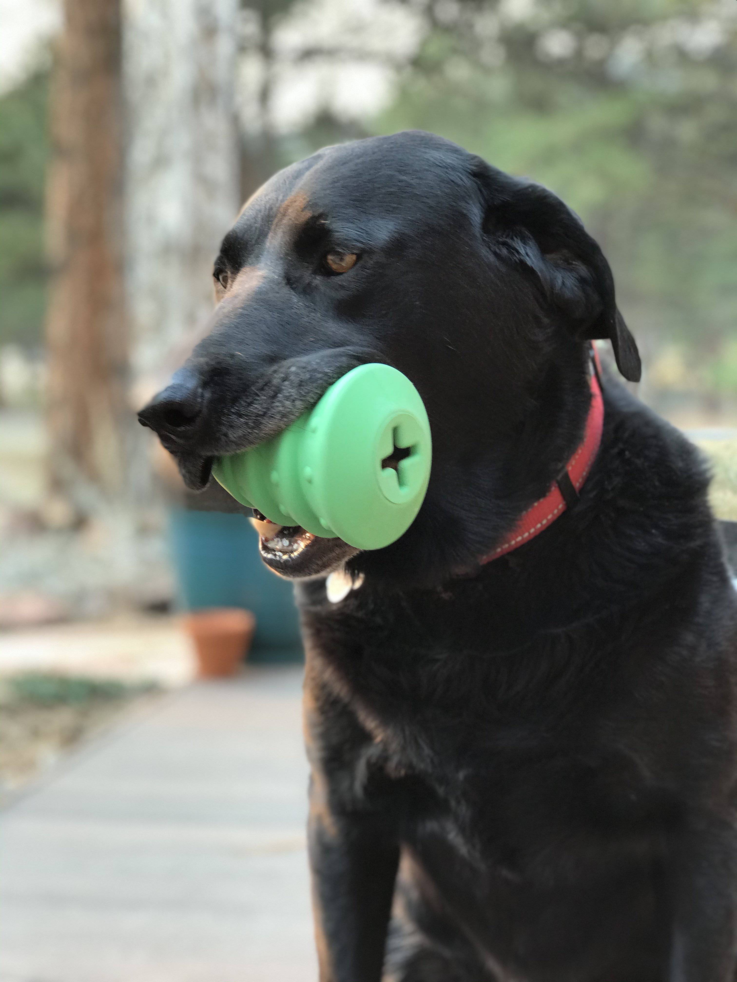 Pet Supply Product | The Finest Market