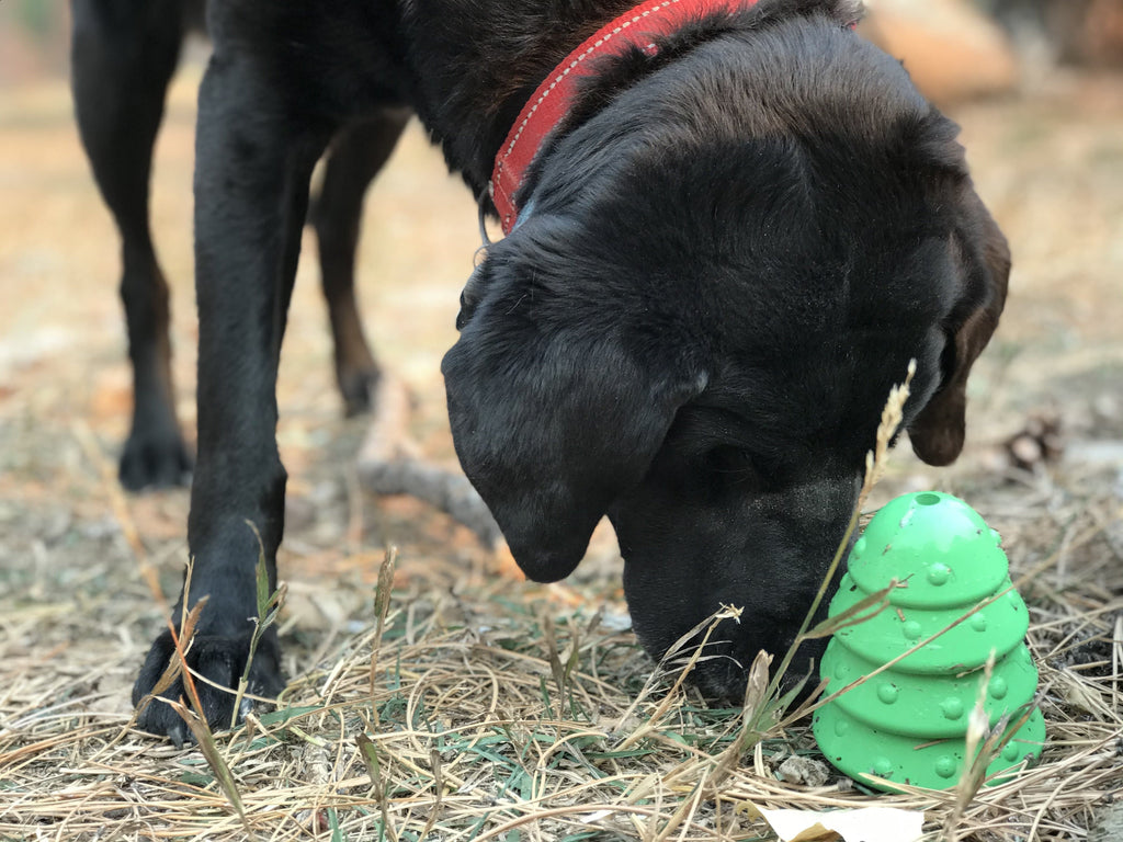 Pet Supply Product | The Finest Market