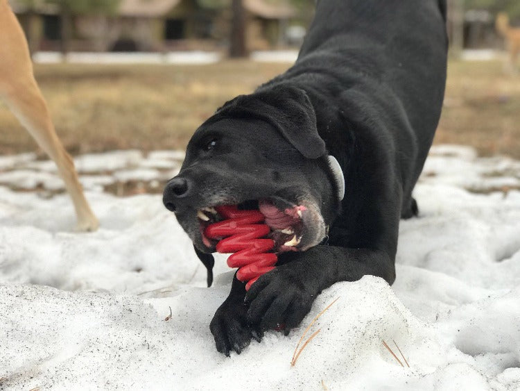 Dog Chew Toy Christmas Tree Nylon Aggressive Power Chew USA - Detail Angle 4 | Majestic Pet Kingdom