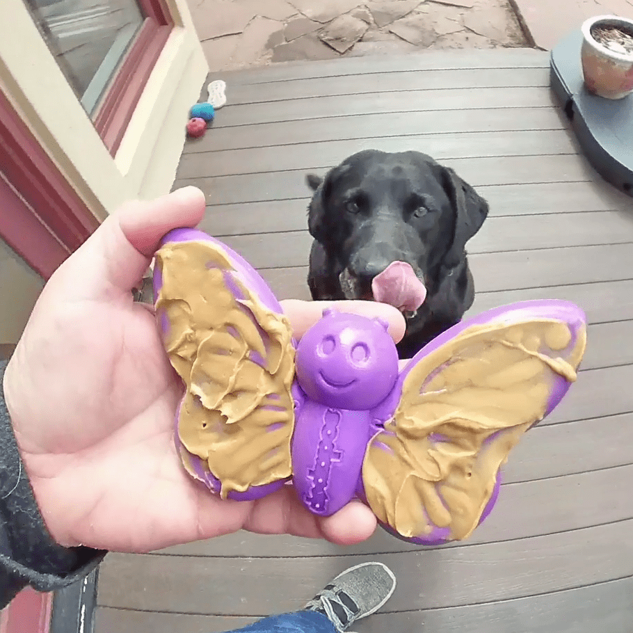 Pet Supply Product | The Finest Market