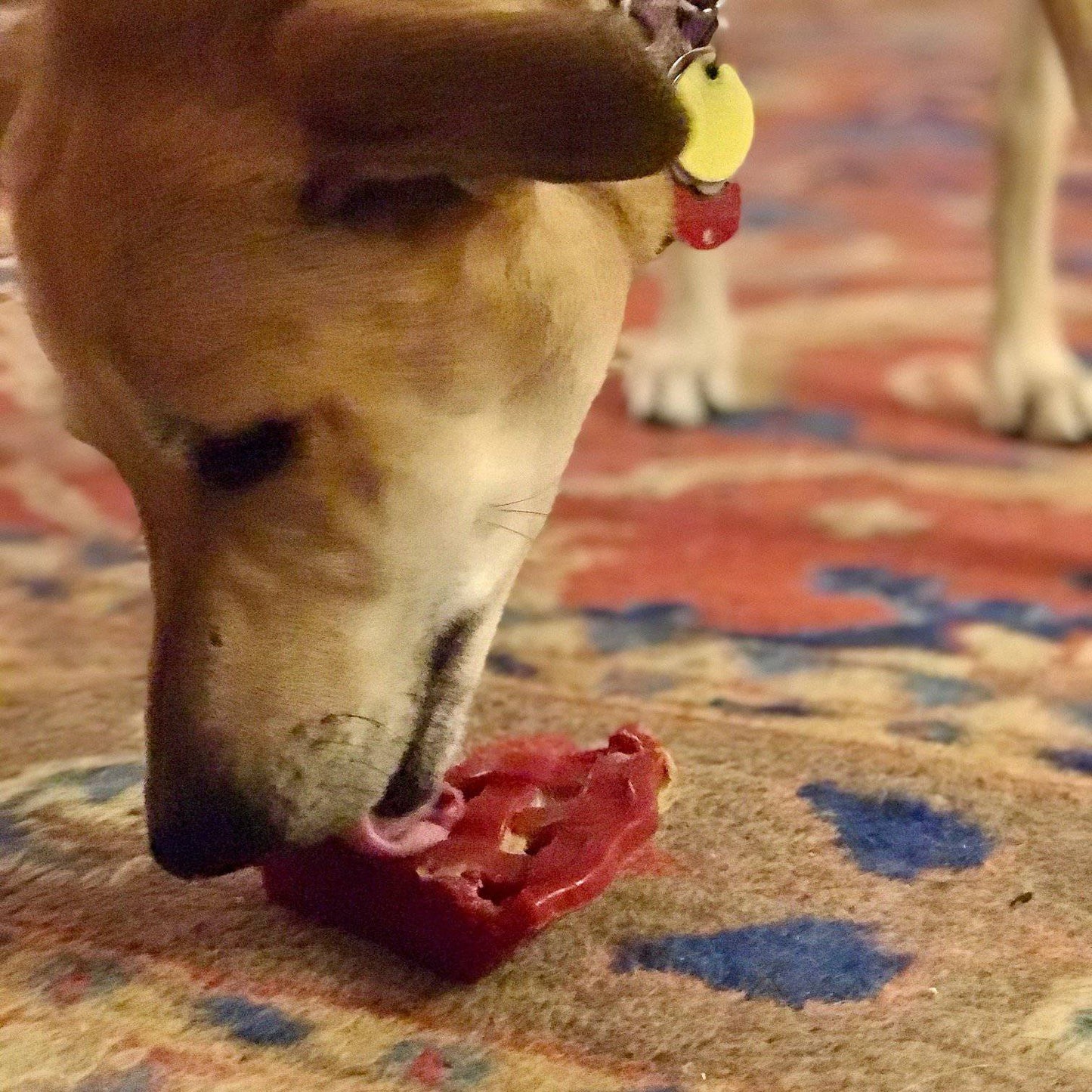 Dog Chew Toy Cherry Pie Shape Nylon Aggressive Power Chewer