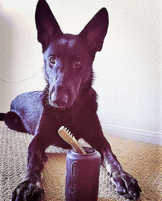 Pet Supply Product | The Finest Market