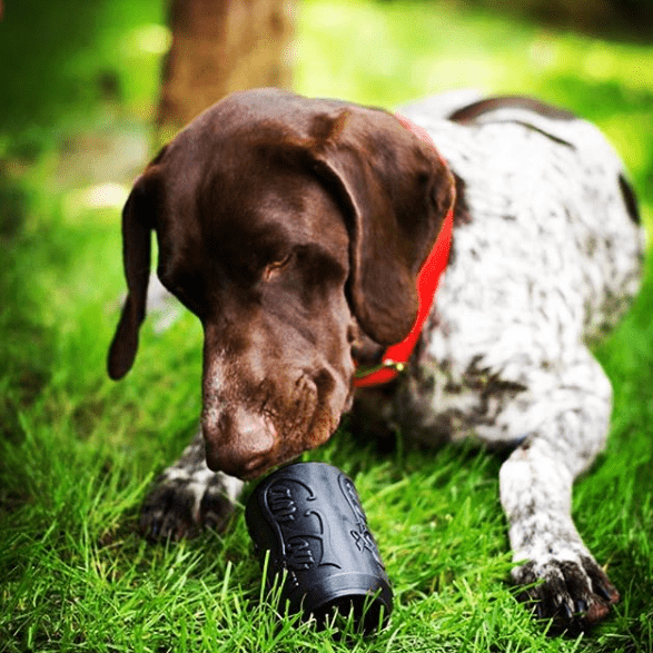 Pet Supply Product | The Finest Market