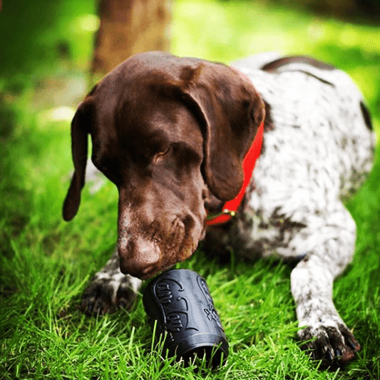 Pet Supply Product | The Finest Market