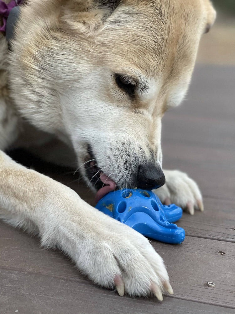 Pet Supply Product | The Finest Market