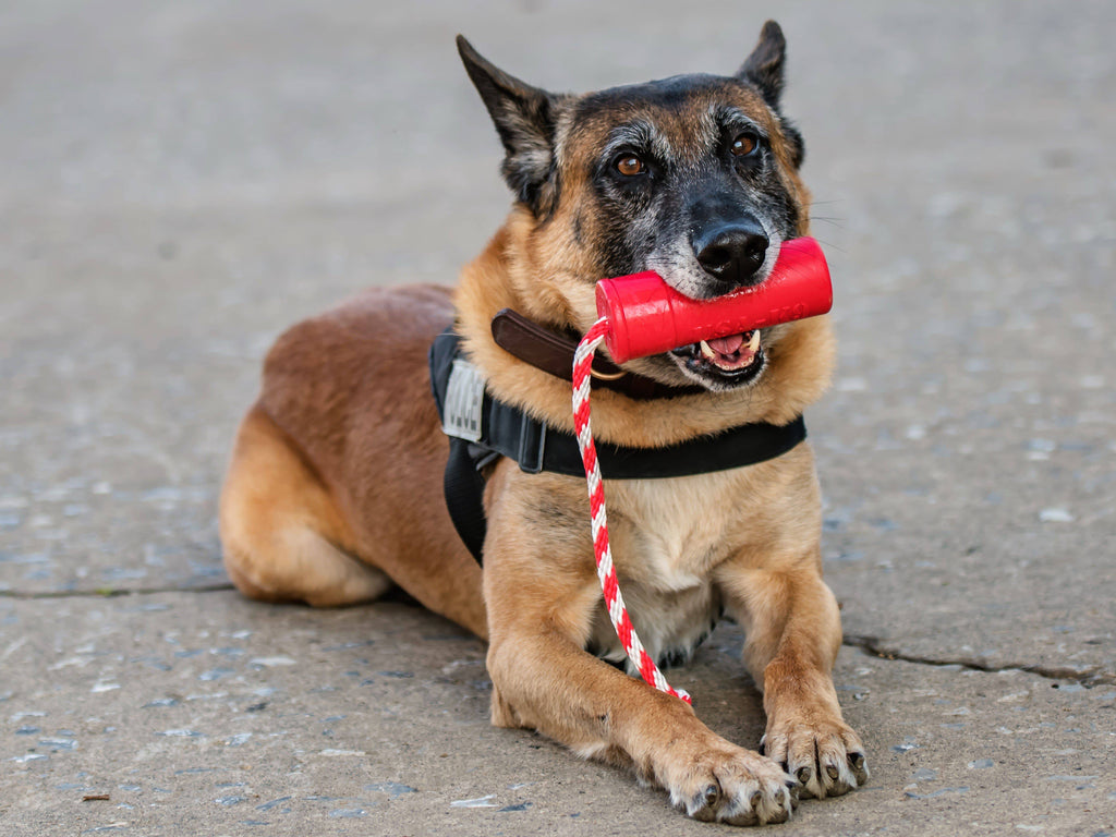 Pet Supply Product | The Finest Market