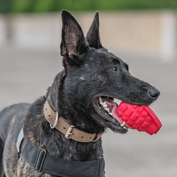 Pet Supply Product | The Finest Market