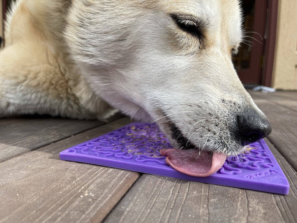 Dog Lick Mat Bones Pattern Silicone Anxiety Relief Food Pad - Detail Angle 5 | Majestic Pet Kingdom