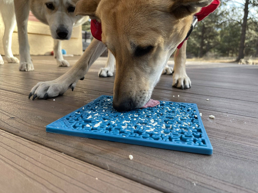 Pet Supply Product | The Finest Market