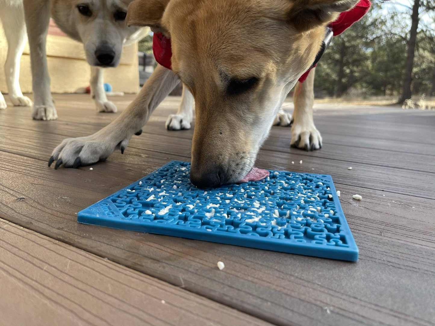 Dog Lick Mat Jigsaw Puzzle Silicone Slow Feeder Anxiety Pad - Detail Angle 4 | Majestic Pet Kingdom