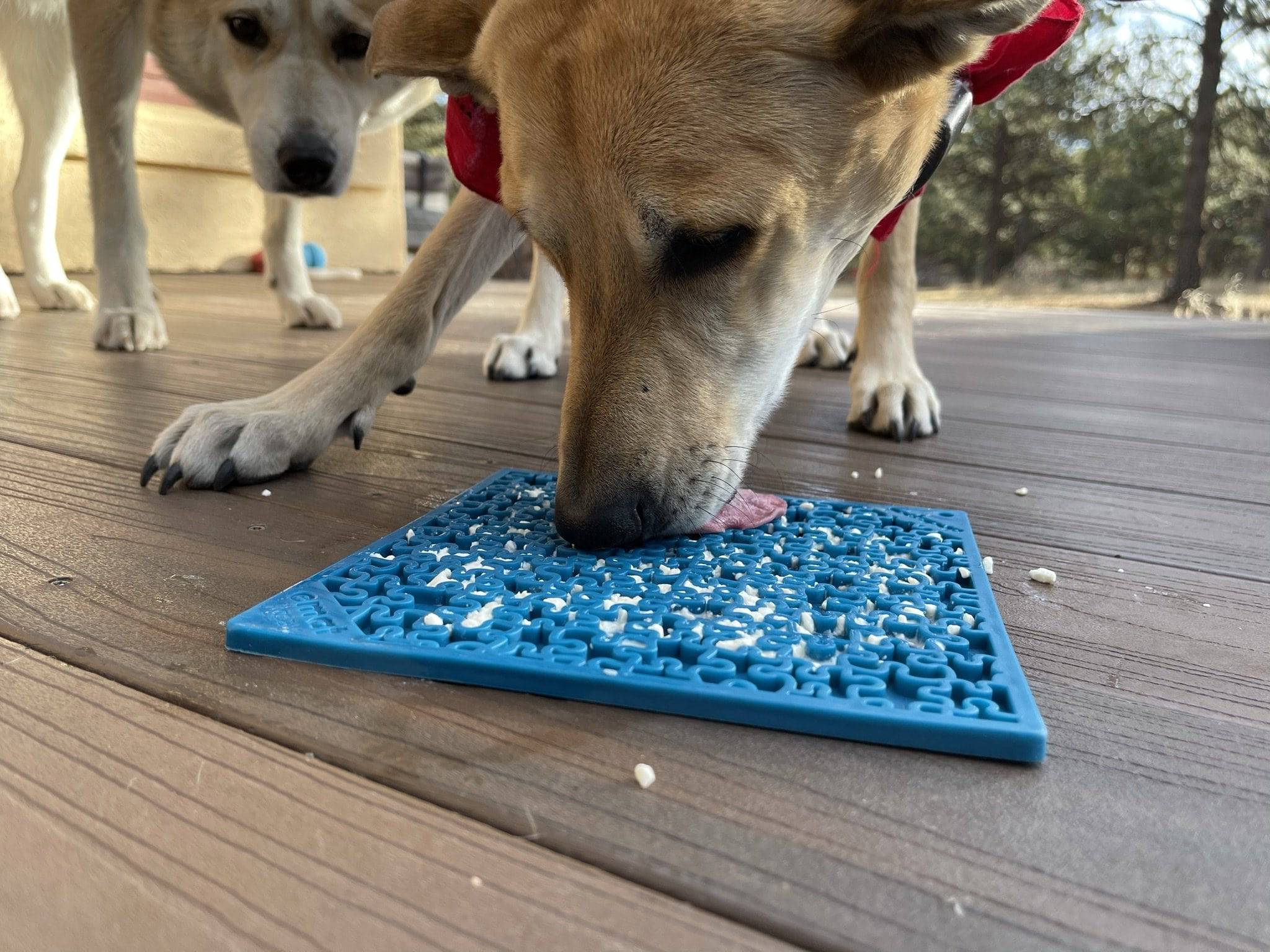 Pet Supply Product | The Finest Market