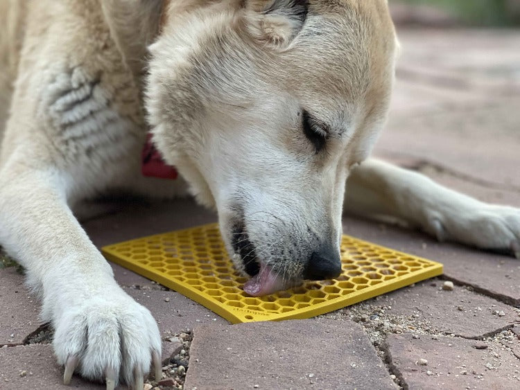 Pet Supply Product | The Finest Market