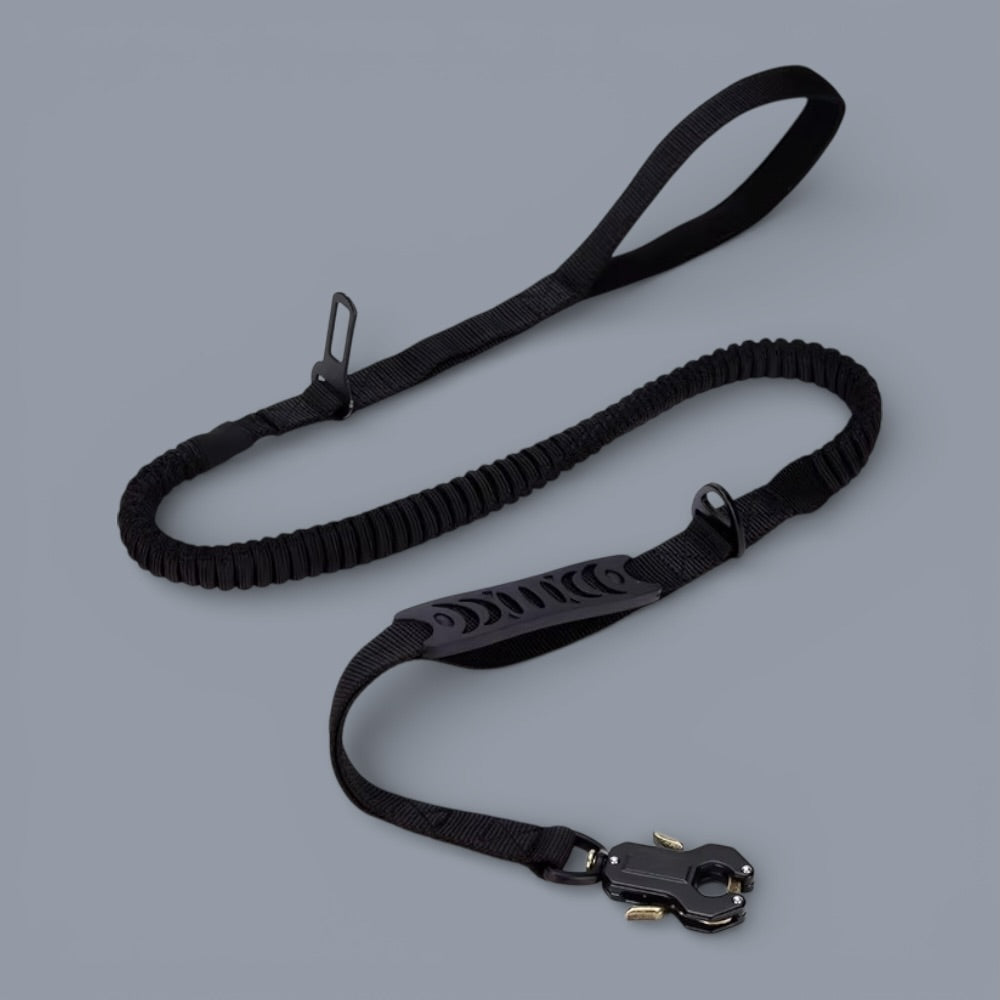 Heavy Duty Quick-Release Bungee Leash (Absorbs Pulls) | Purrfect Pet Kingdom