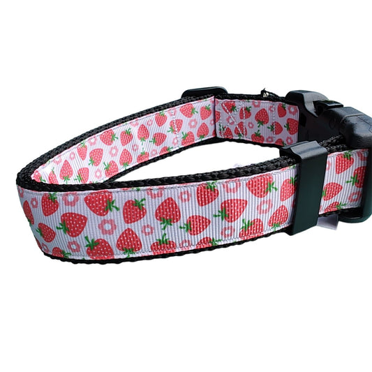 Dog Collar Strawberry Flowers Black Botanical Fruit Pattern Nylon